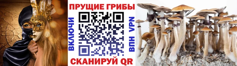 Галлюциногенные грибы мицелий  мега онион  Зеленодольск 